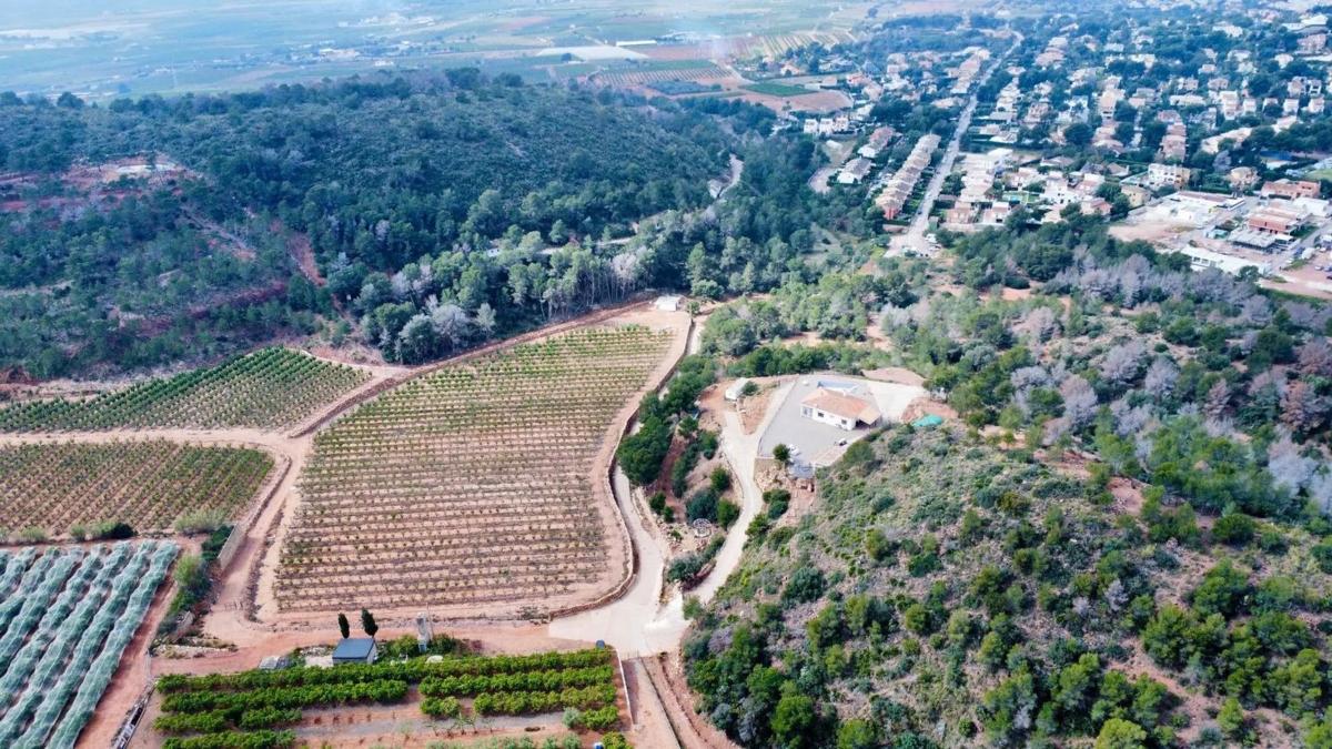 Terreno en venta en Sagunto/Sagunt, Valencia photo 5