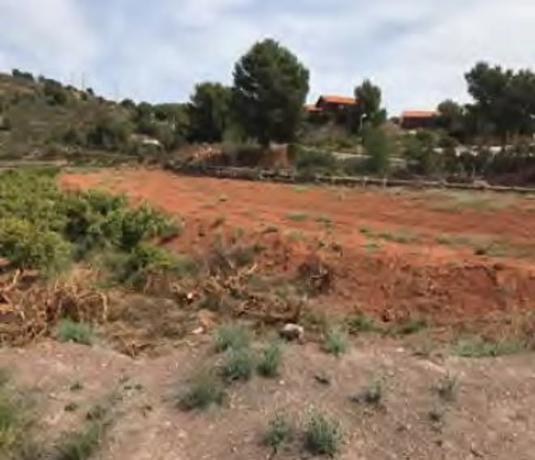 Terreno en Paraje de la Baseta s/n photo 1