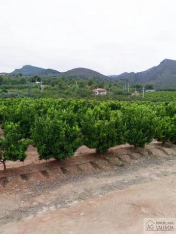 Terreno en Torres-Torres photo 3