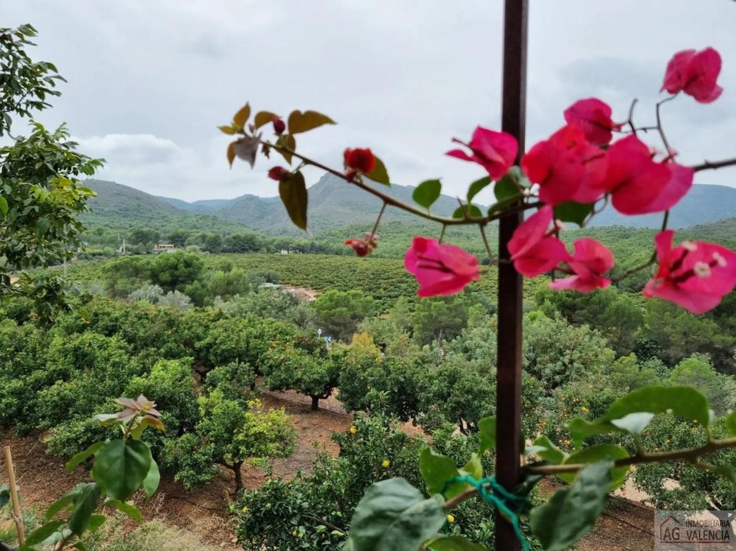 Land for sale in Torres-Torres, Valencia photo 4