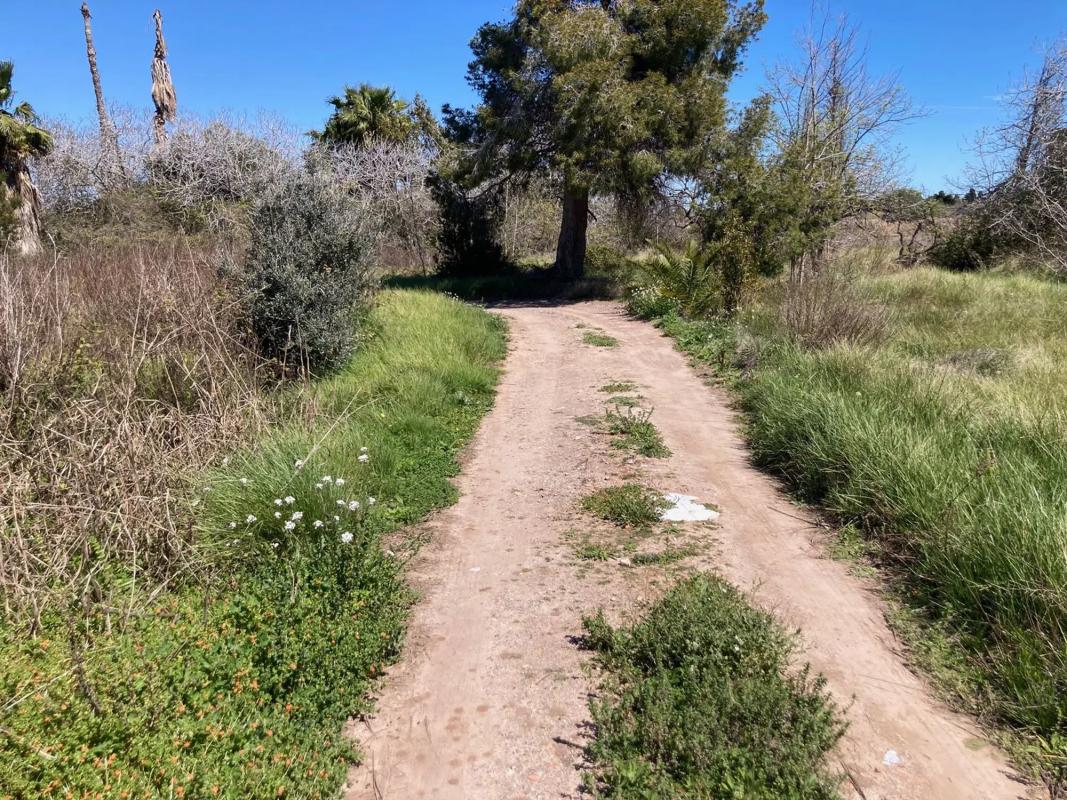 Terreno en venta en Sagunto/Sagunt, Valencia photo 3