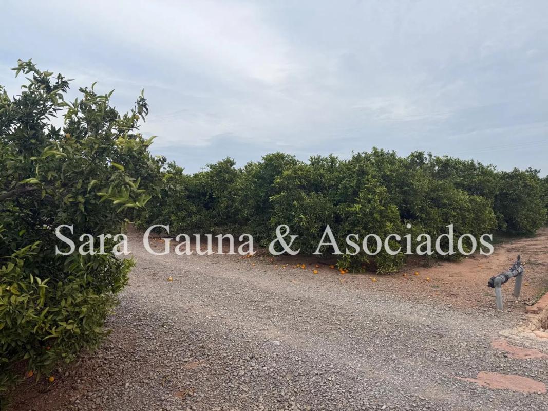 Terreno en venta en Sagunto/Sagunt, Valencia photo 2