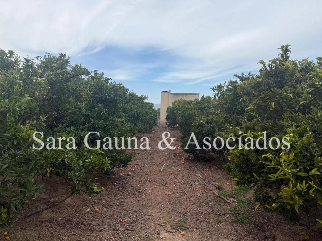 Terreno en venta en Sagunto/Sagunt, Valencia photo 3