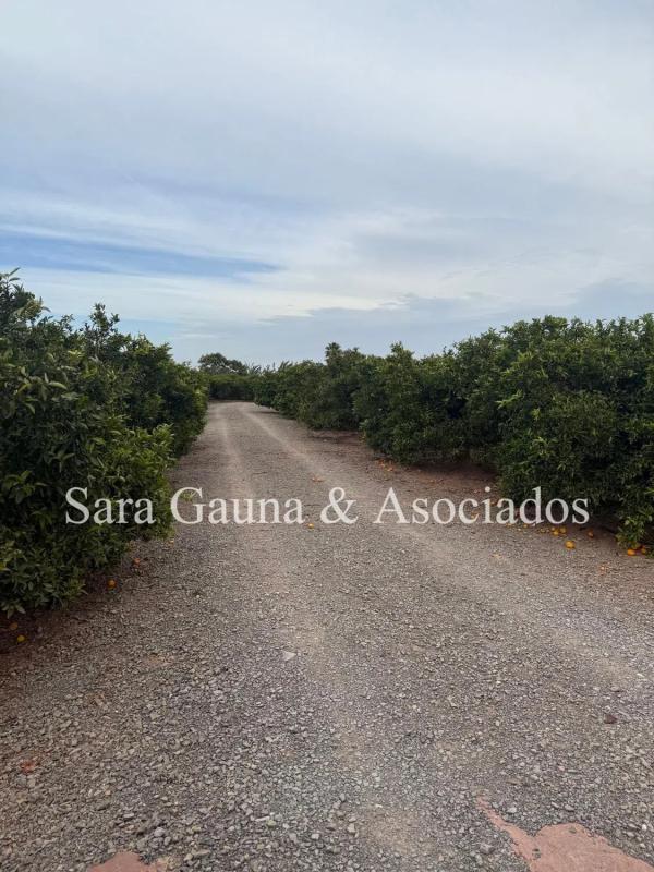 Terreno en venta en Sagunto/Sagunt, Valencia photo 4