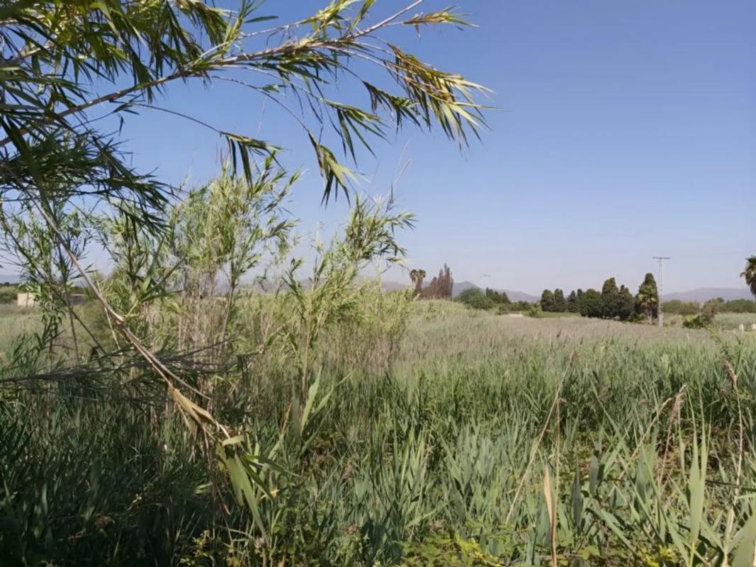 Участок земли на продажу в Сагунто, Валенсия photo 5