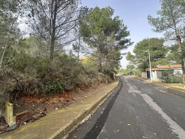 Terreno en Algar de Palancia photo 1