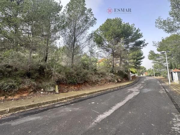 Terreno en Algar de Palancia photo 2