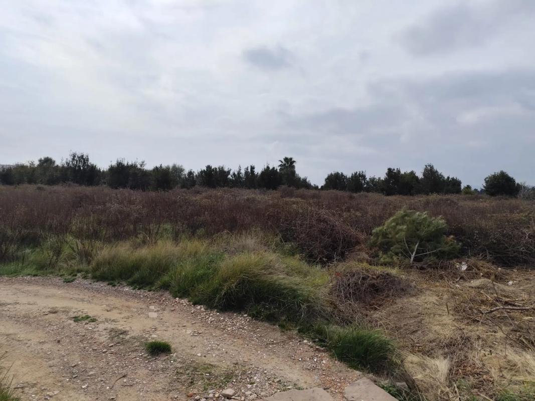 Terreno en venta en Puerto de Sagunto, Valencia photo 3