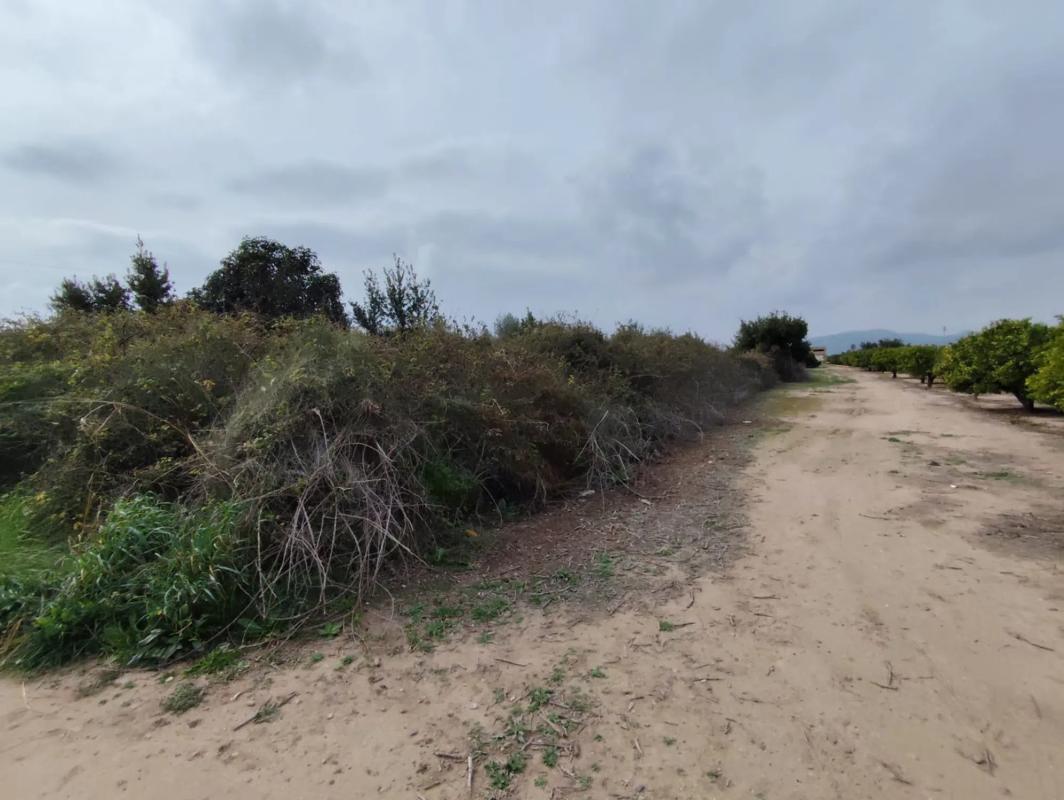 Terreno en venta en Puerto de Sagunto, Valencia photo 4