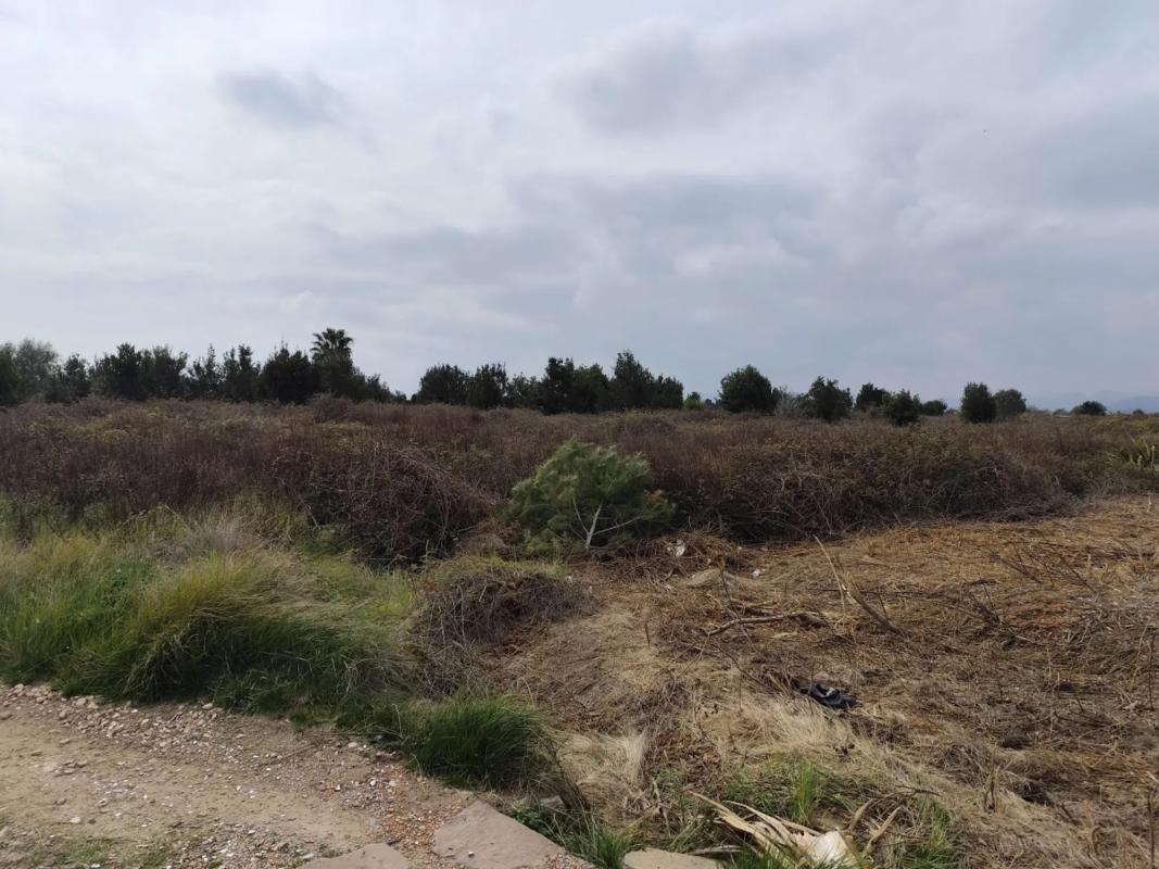 Terreno en venta en Puerto de Sagunto, Valencia photo 5