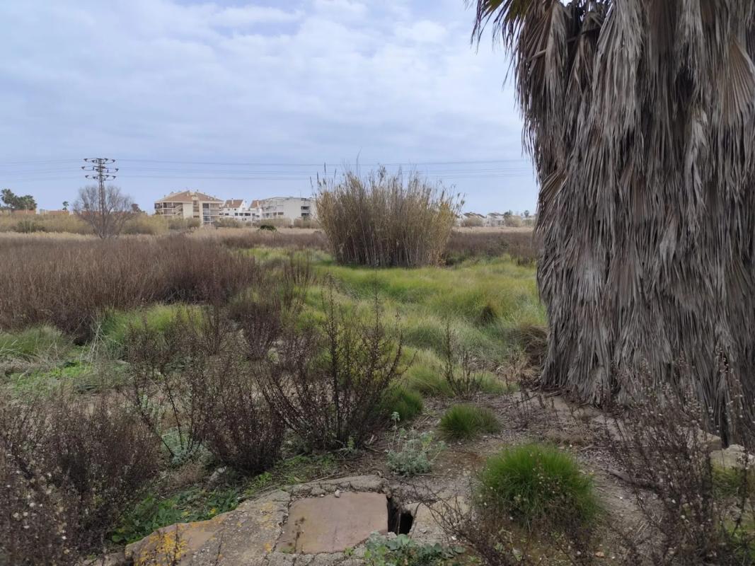 Terreno en venta en Puerto de Sagunto, Valencia photo 5