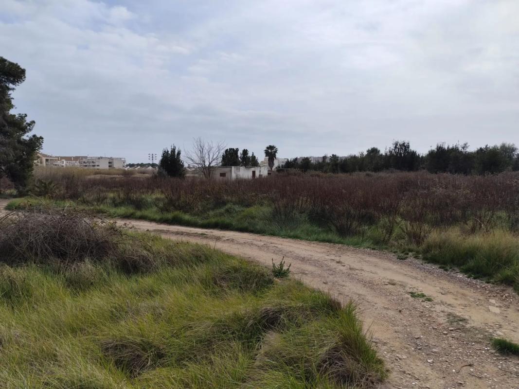 Terreno en venta en Puerto de Sagunto, Valencia photo 1