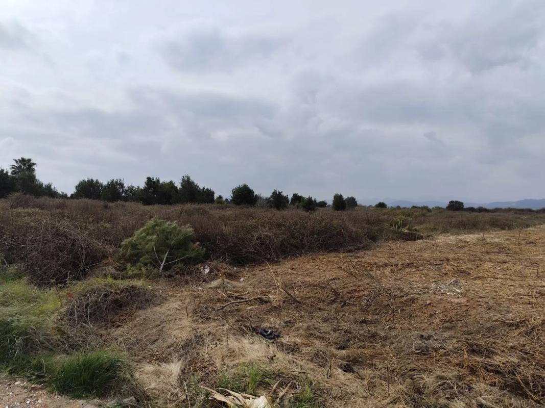 Terreno en venta en Puerto de Sagunto, Valencia photo 2