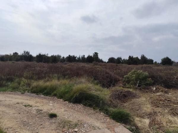 Terreno en avenida de Montiber, 1 thumbnail 1