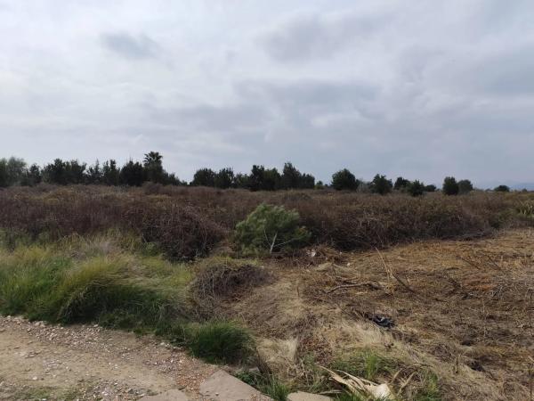 Terreno en avenida de Montiber, 1 photo 4