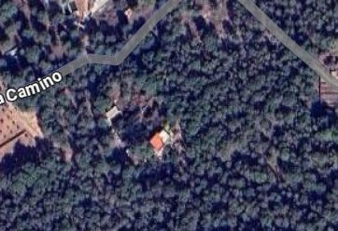 Участок земли на продажу в Альбалат дельс Тарончерс, Валенсия photo 3