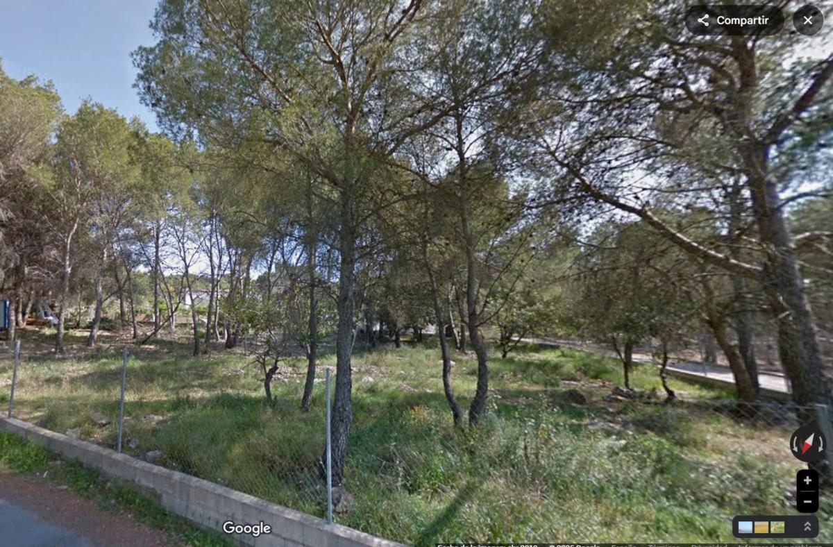 Участок земли на продажу в Альбалат дельс Тарончерс, Валенсия photo 5