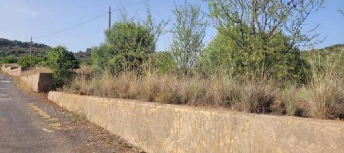 Terreno en venta en Estivella, Valencia photo 4