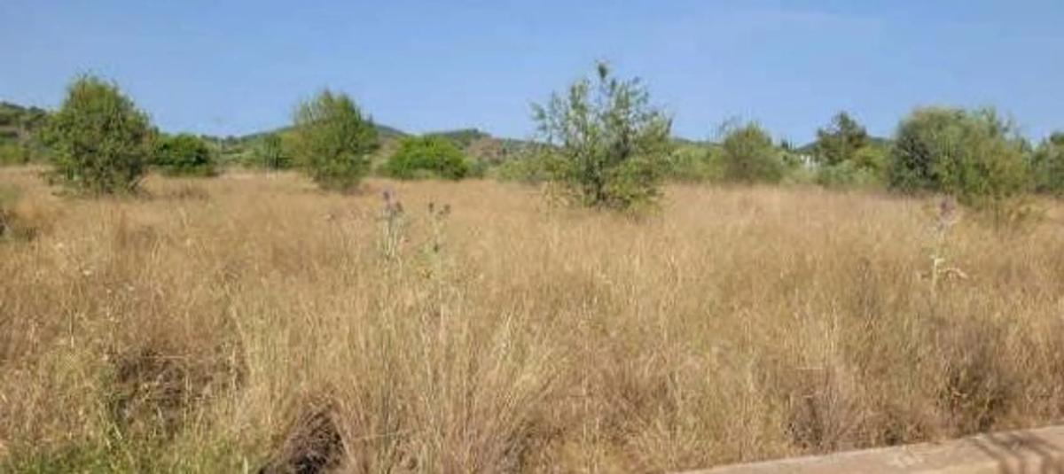 Terreno en venta en Estivella, Valencia photo 5