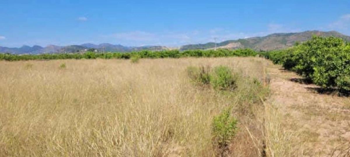 Terreno en venta en Sagunto/Sagunt, Valencia photo 3