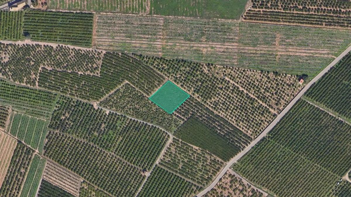 Terreno en venta en Sagunto/Sagunt, Valencia photo 5