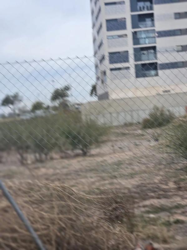 Land for sale in Sagunto, Valencia photo 4