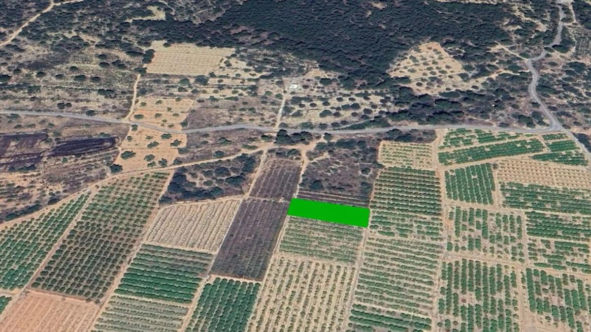 Terreno en venta en Sagunto/Sagunt, Valencia photo 2