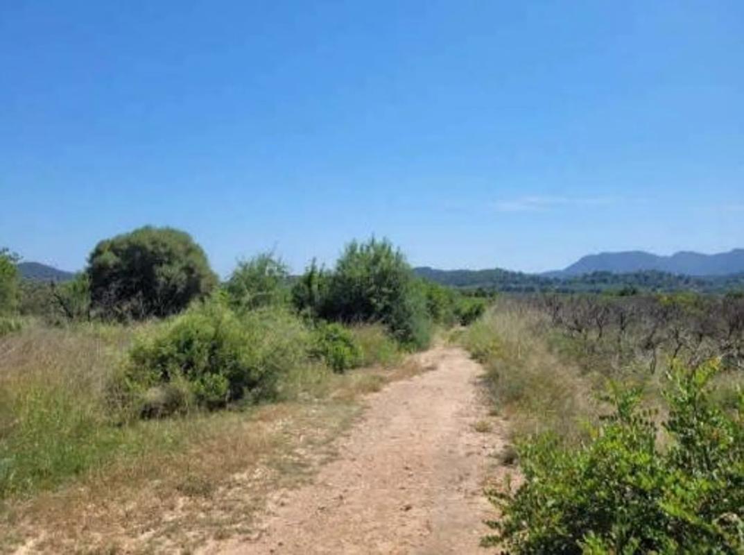 Terreno en venta en Sagunto/Sagunt, Valencia photo 3