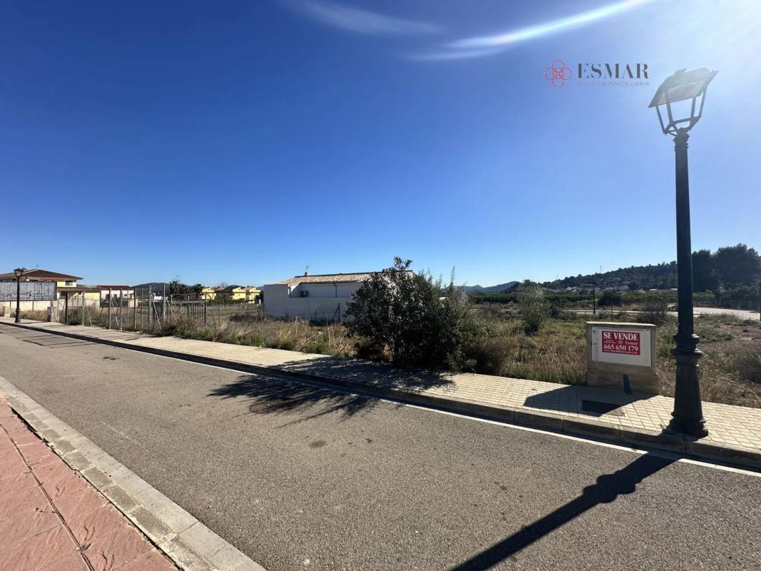 Land for sale in Algimia de Alfara, Valencia photo 2