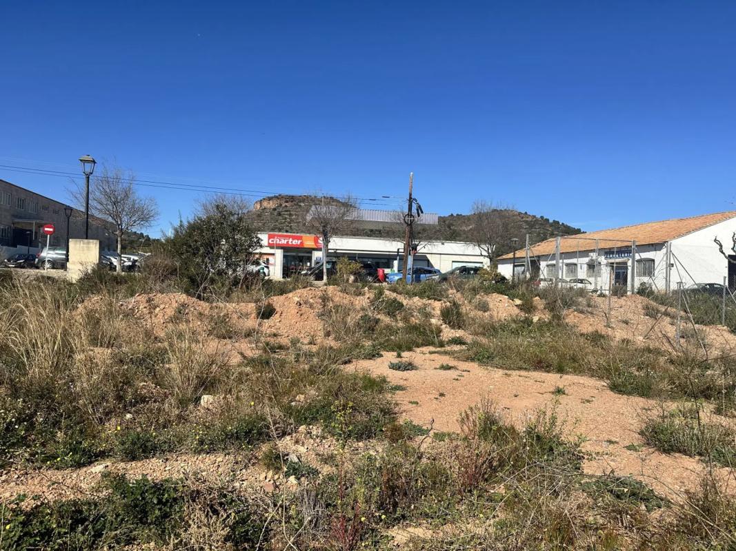 Land for sale in Algimia de Alfara, Valencia photo 3