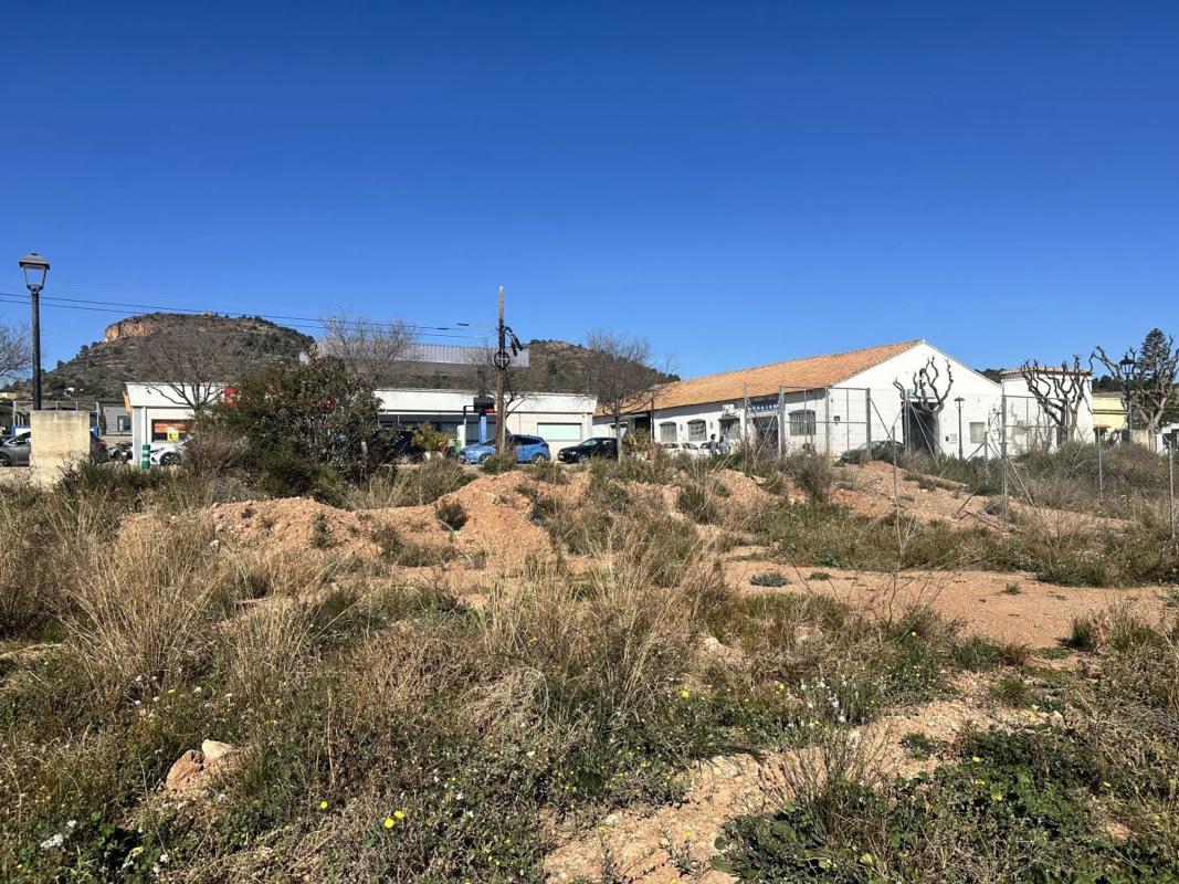 Land for sale in Algimia de Alfara, Valencia photo 5