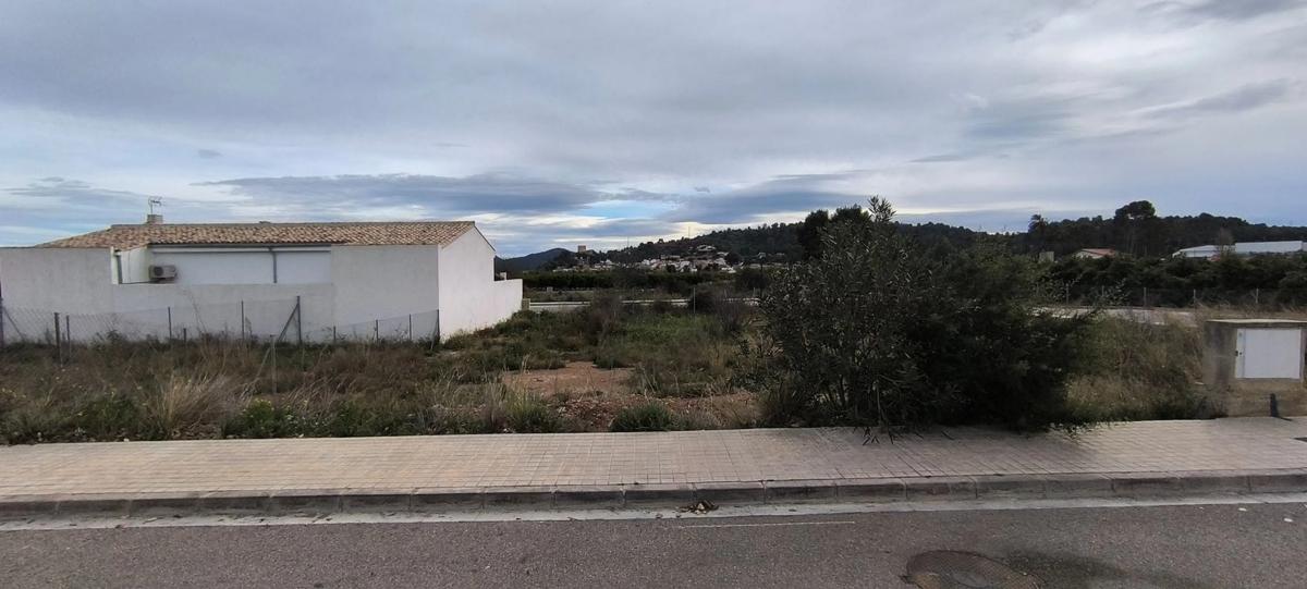 Land for sale in Algimia de Alfara, Valencia photo 3