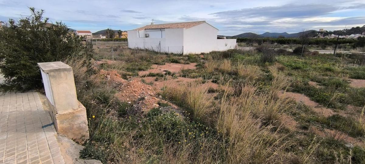 Land for sale in Algimia de Alfara, Valencia photo 5