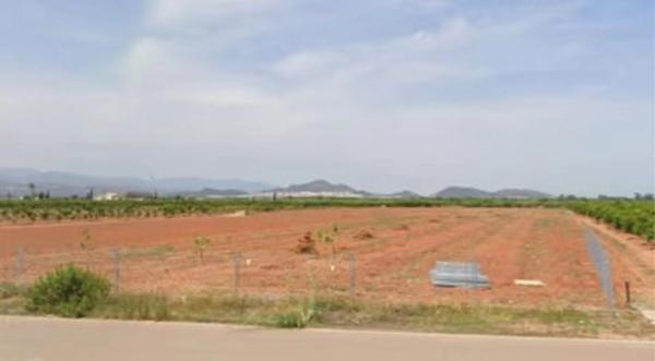 Terreno en Cv-320 s/n photo 1