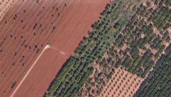 Terreno en Cv-320 s/n photo 3