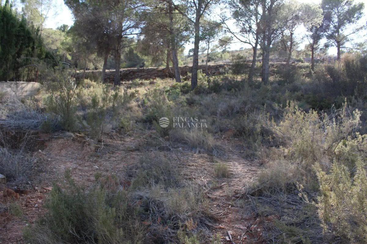 Terreno en venta en Algar de Palancia, Valencia photo 2