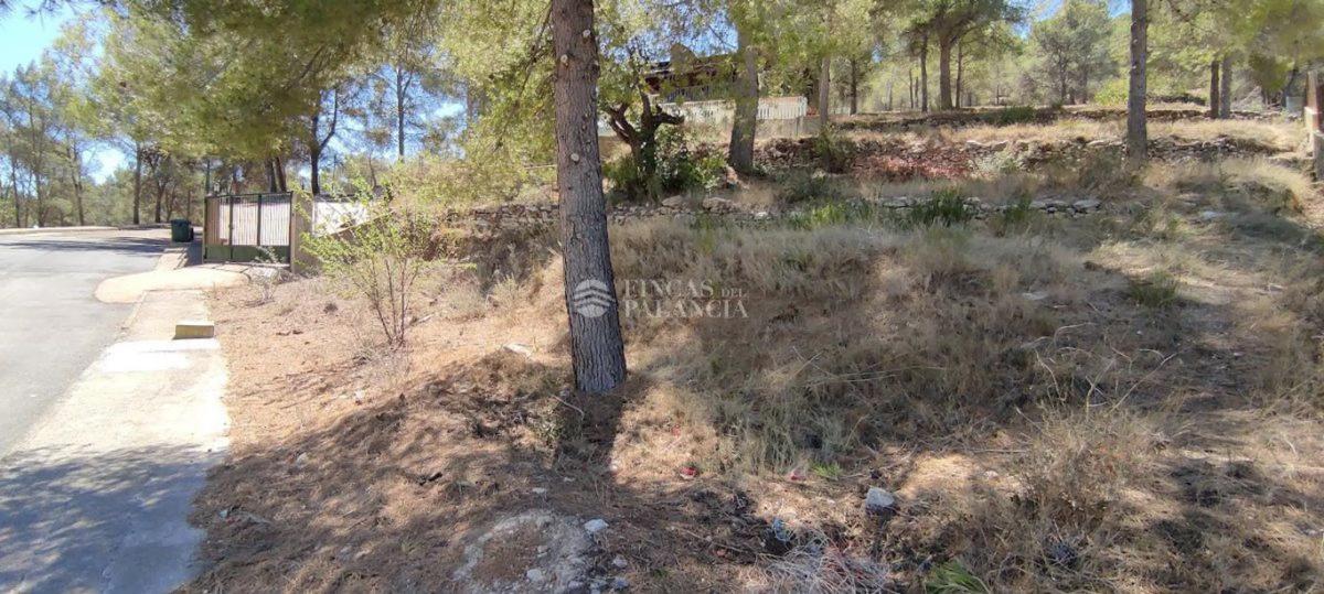 Terreno en venta en Algar de Palancia, Valencia photo 2