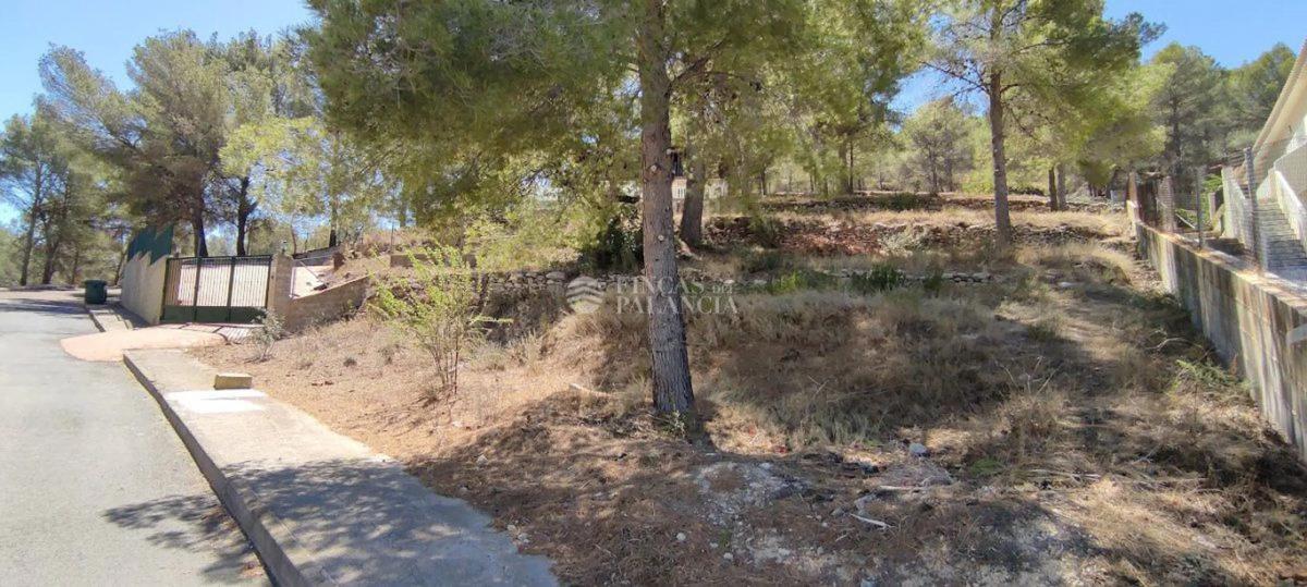 Terreno en venta en Algar de Palancia, Valencia photo 3