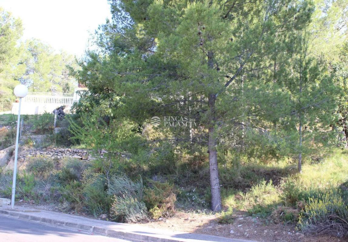 Terreno en venta en Algar de Palancia, Valencia photo 4