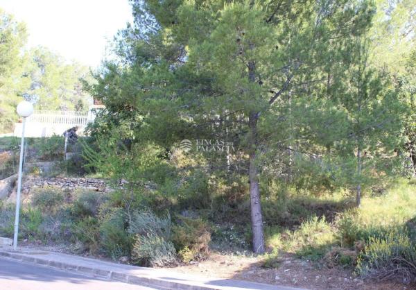 Terreno en Algar de Palancia photo 4