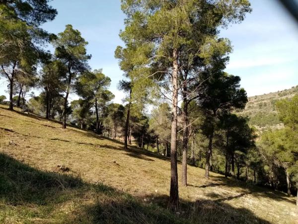 Terreno en Urbanización el Tochar, 130 thumbnail 2