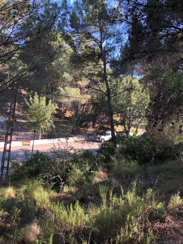 Terreno en venta en Torres-Torres, Valencia photo 4