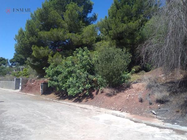 Terreno en Torres-Torres photo 1