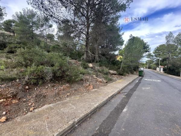 Terreno en Algar de Palancia photo 1