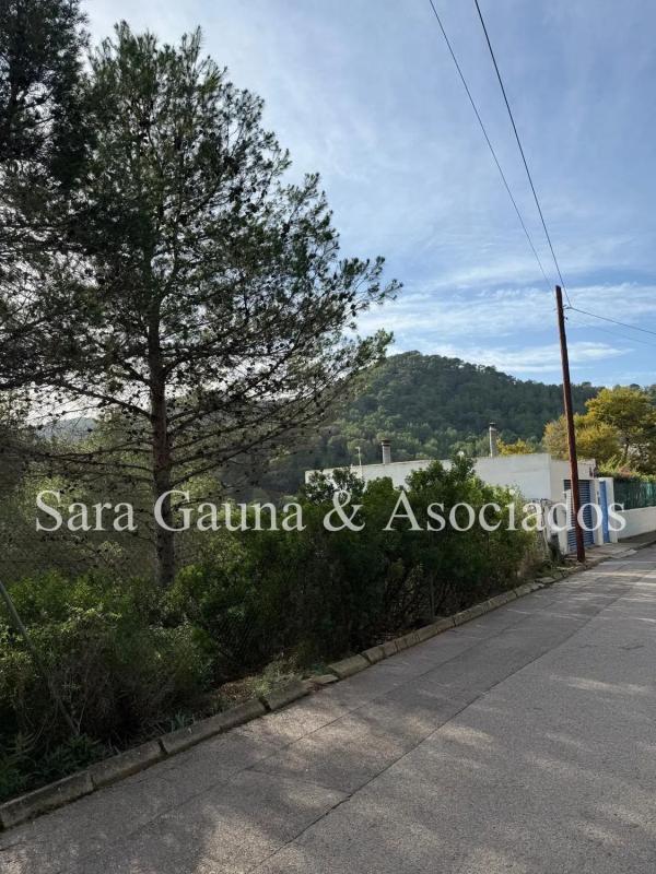 Terreno en venta en Gilet, Valencia photo 1