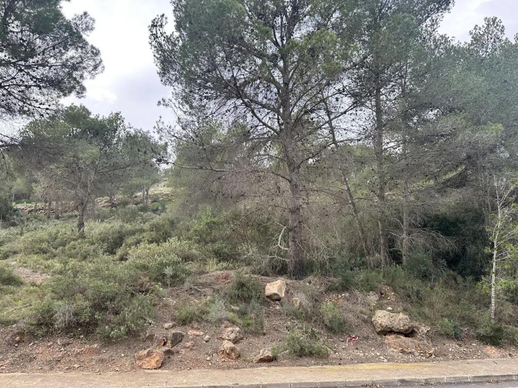 Land for sale in Algar de Palancia, Valencia photo 2