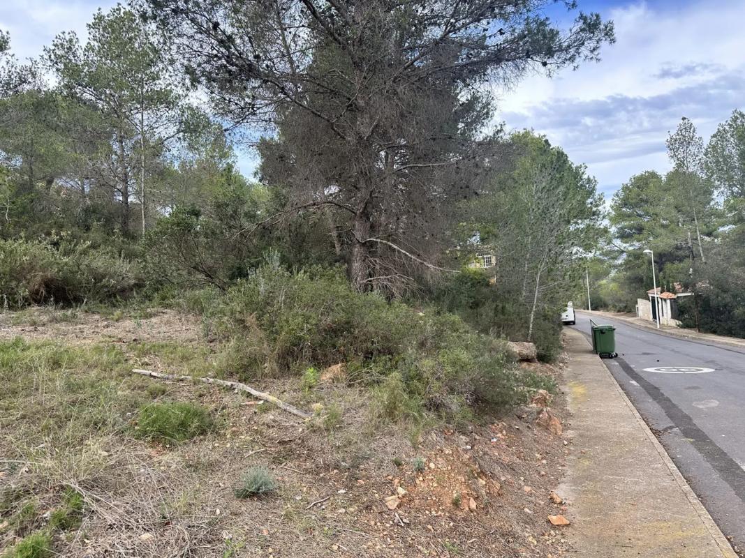 Land for sale in Algar de Palancia, Valencia photo 3