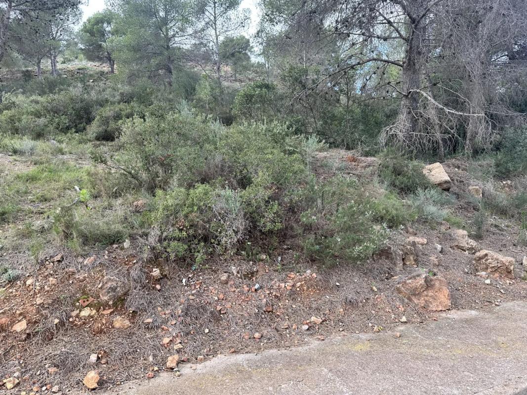 Land for sale in Algar de Palancia, Valencia photo 5