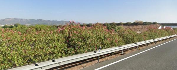 Terreno en Alqueria Blanca s/n photo 1