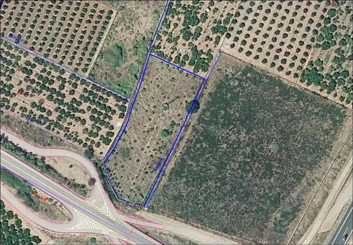 Terreno en venta en Sagunto/Sagunt, Valencia photo 2